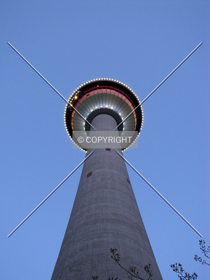 Photo 124-072-617