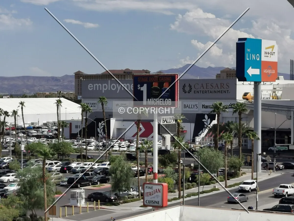 Photo 124-142-428