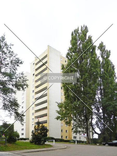 Photo 124-481-532