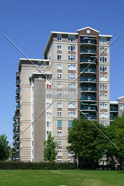 Photo 124-546-815