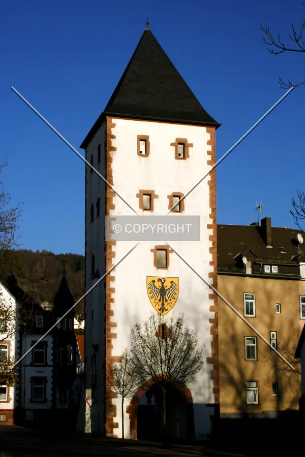 View from the southwest