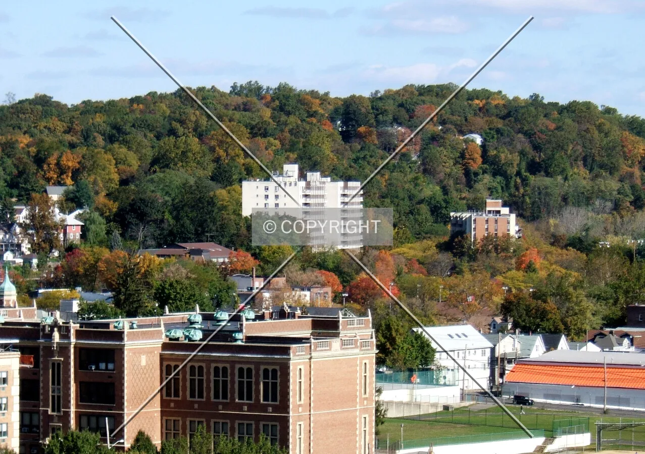 View from the southwest