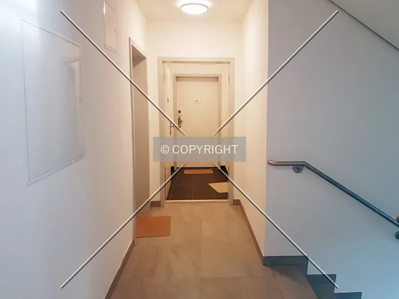 Photo 124-909-729
