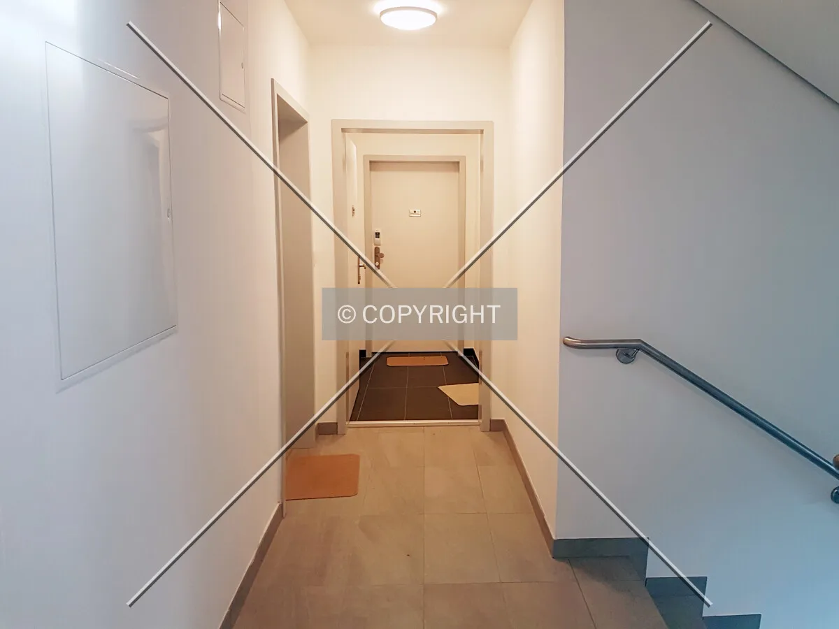 NIBRA elevator