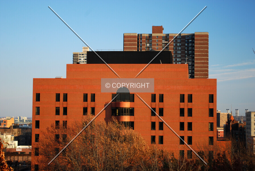 Photo 125-240-376