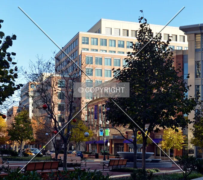 Photo 125-254-235