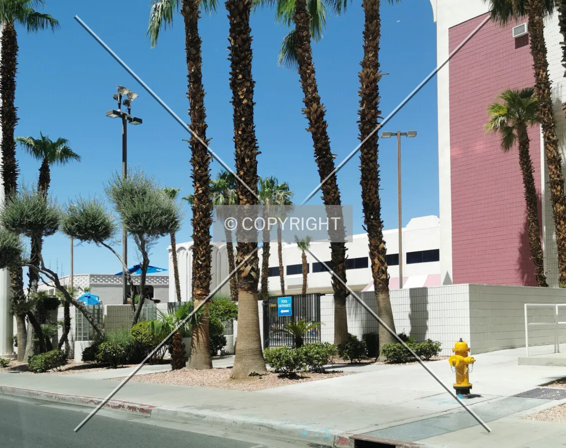 Photo 125-323-425
