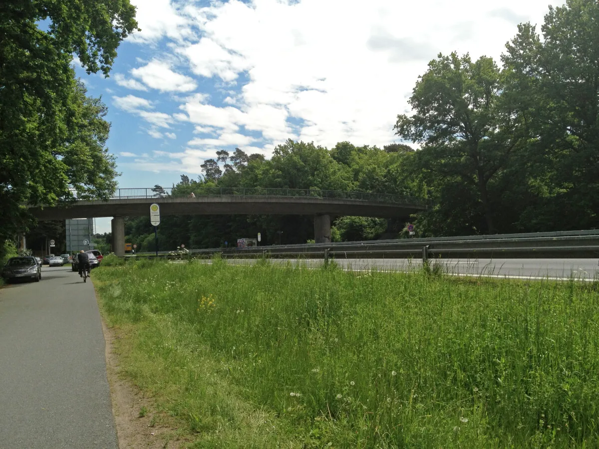 Photo 125-395-768