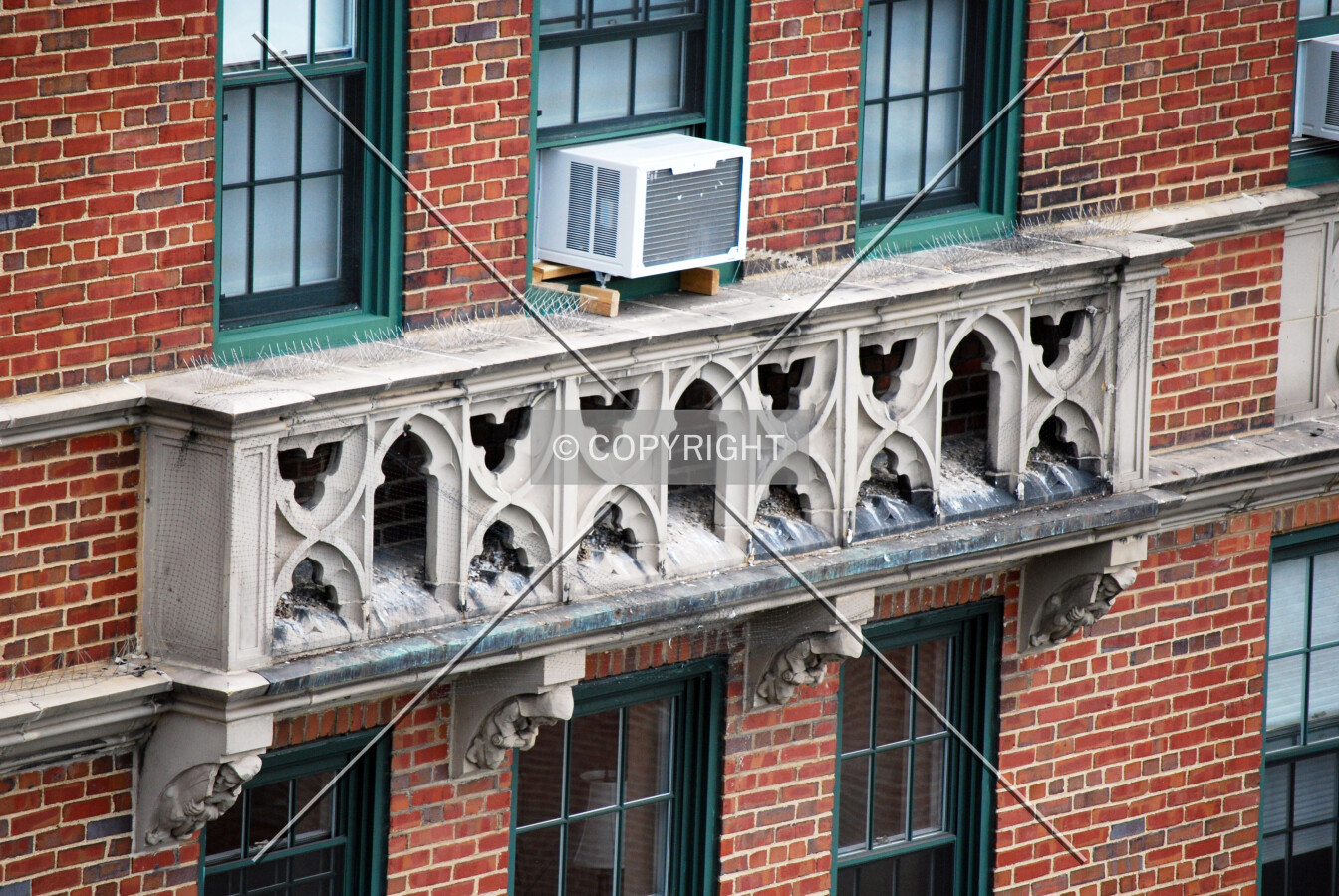 Photo 125-397-223