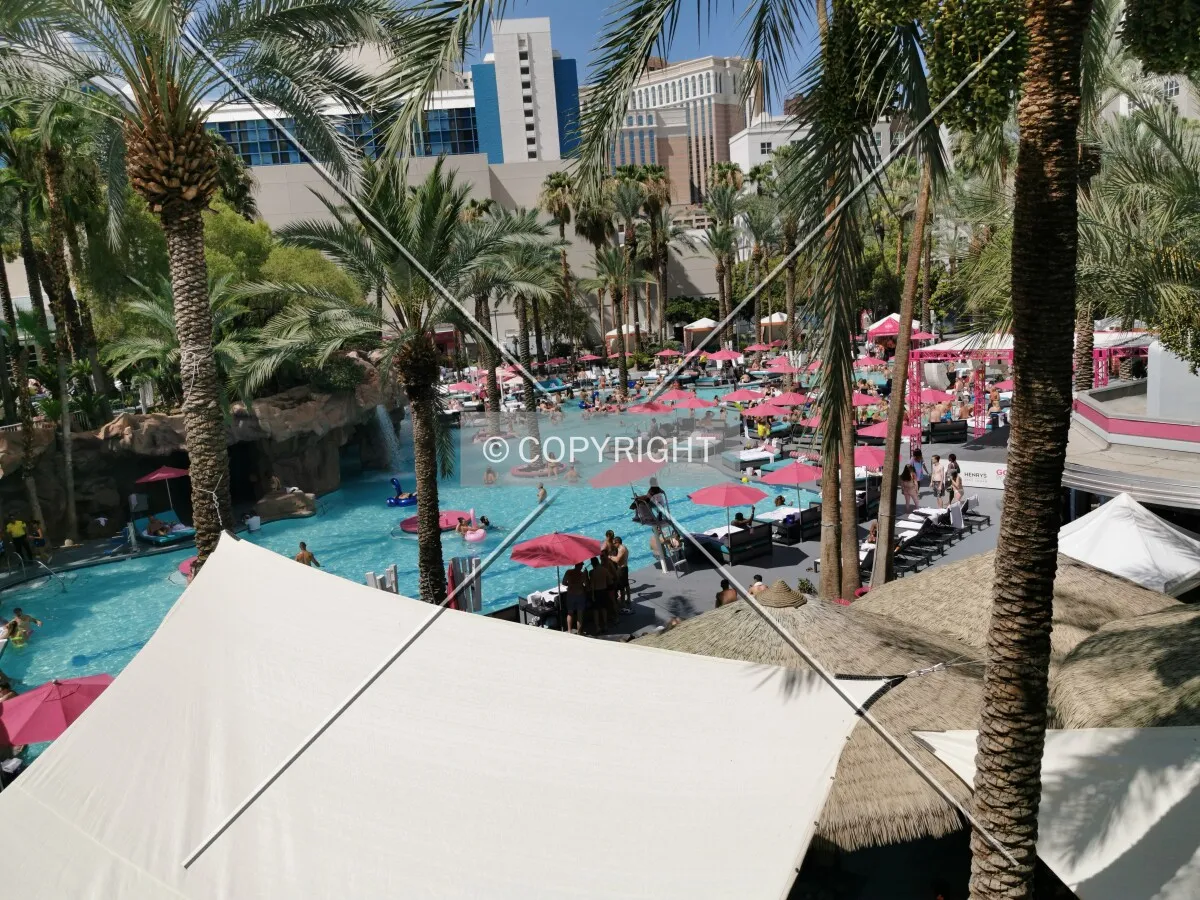 Photo 125-454-227