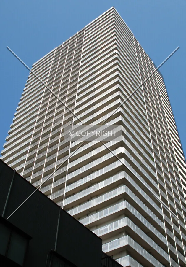 Looking up from the northeast