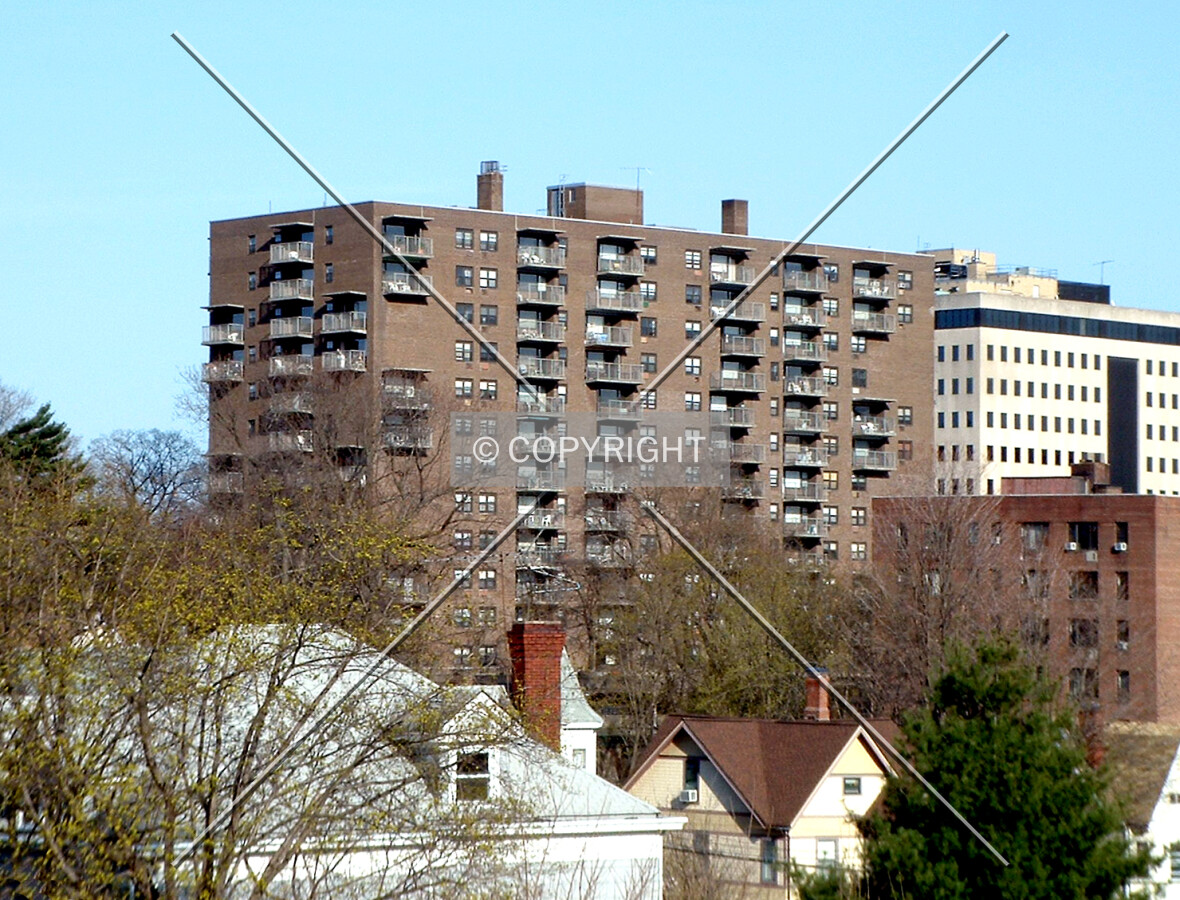 View from the northwest
