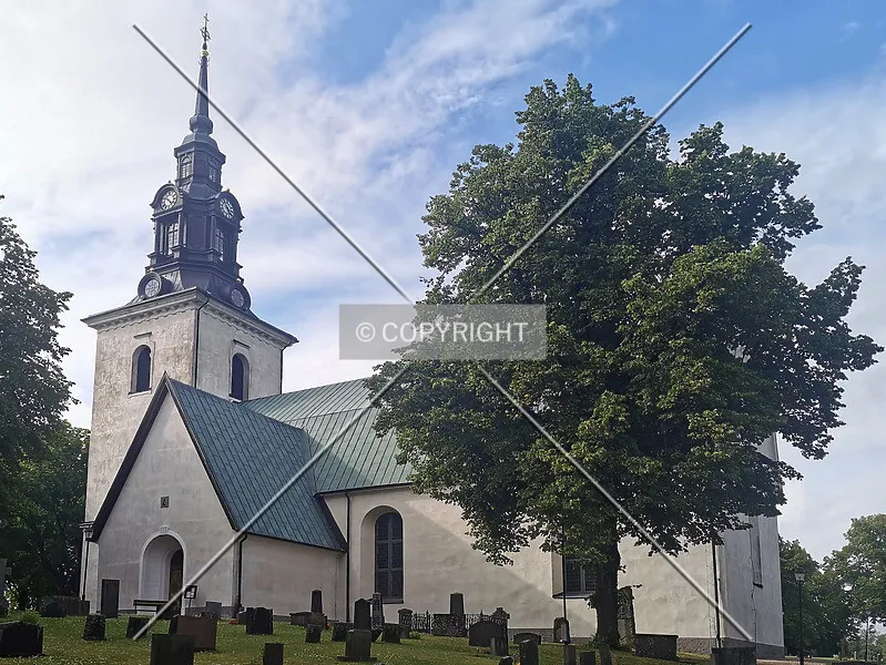 Photo 125-591-691