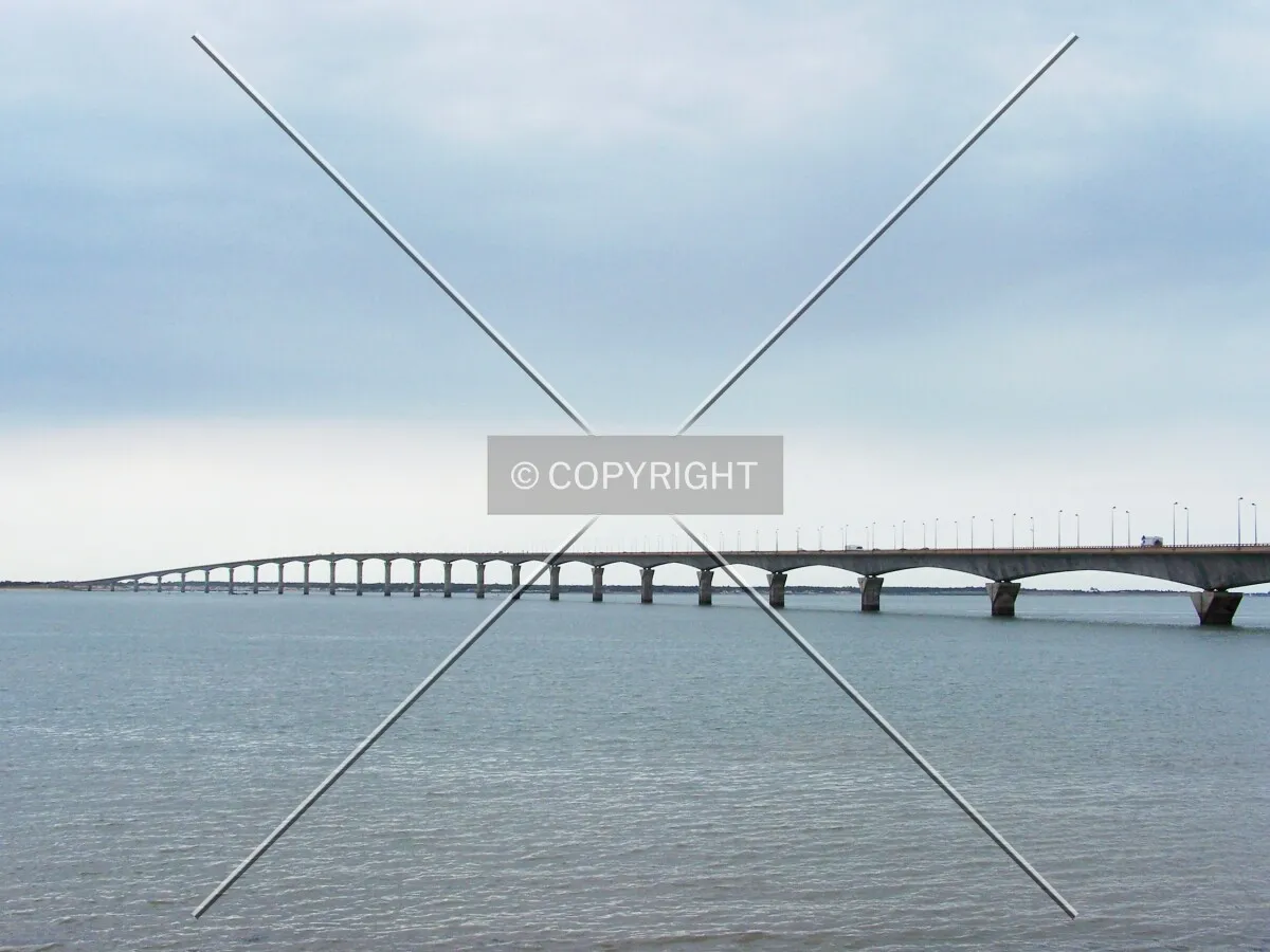 Photo 125-624-351