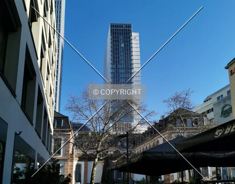 Photo 125-817-829