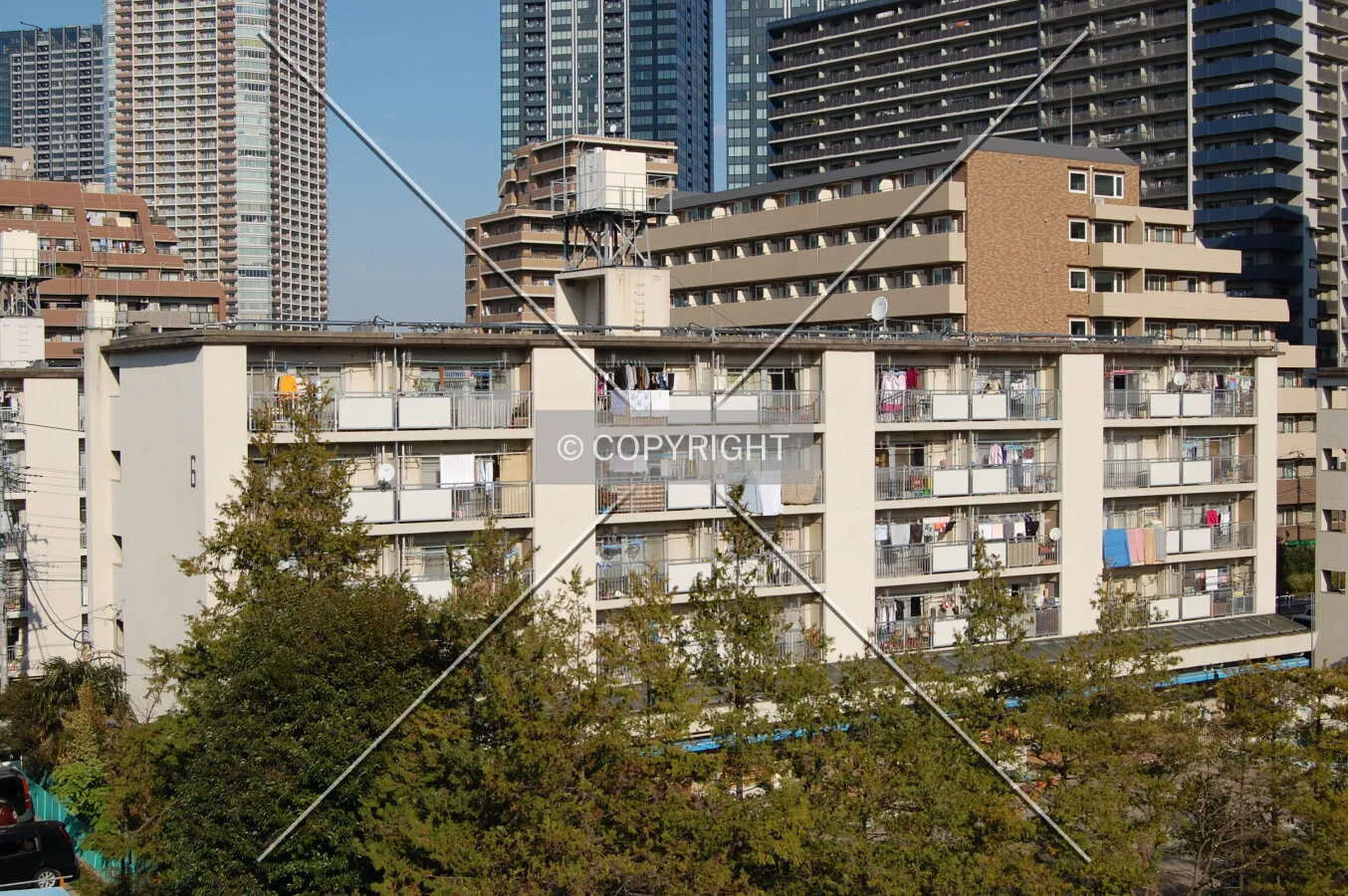 Photo 125-953-665