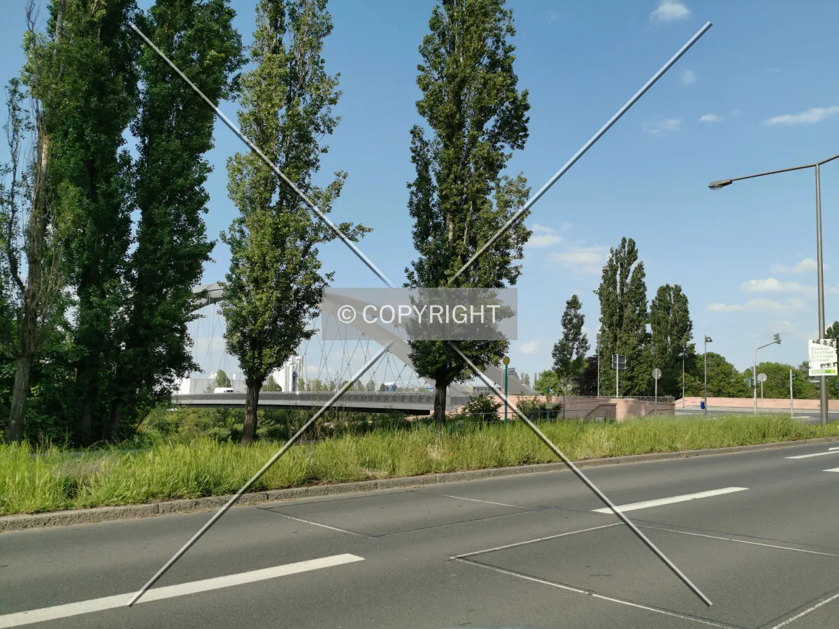 Photo 126-014-787