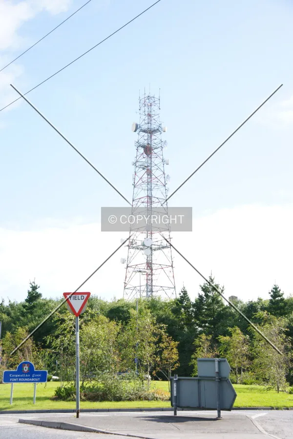Photo 126-100-985