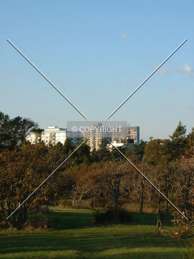 The awesome skyline