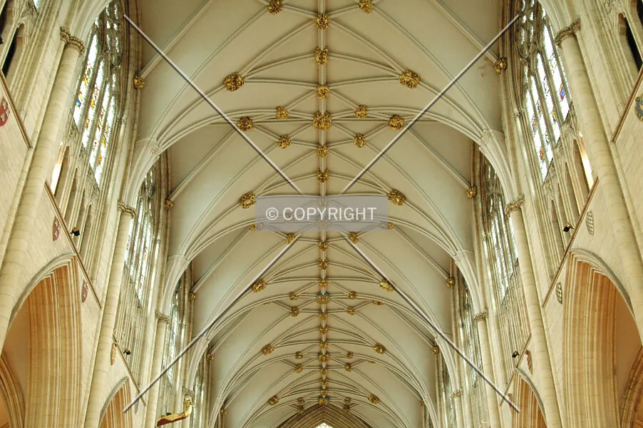 Photo 126-168-069