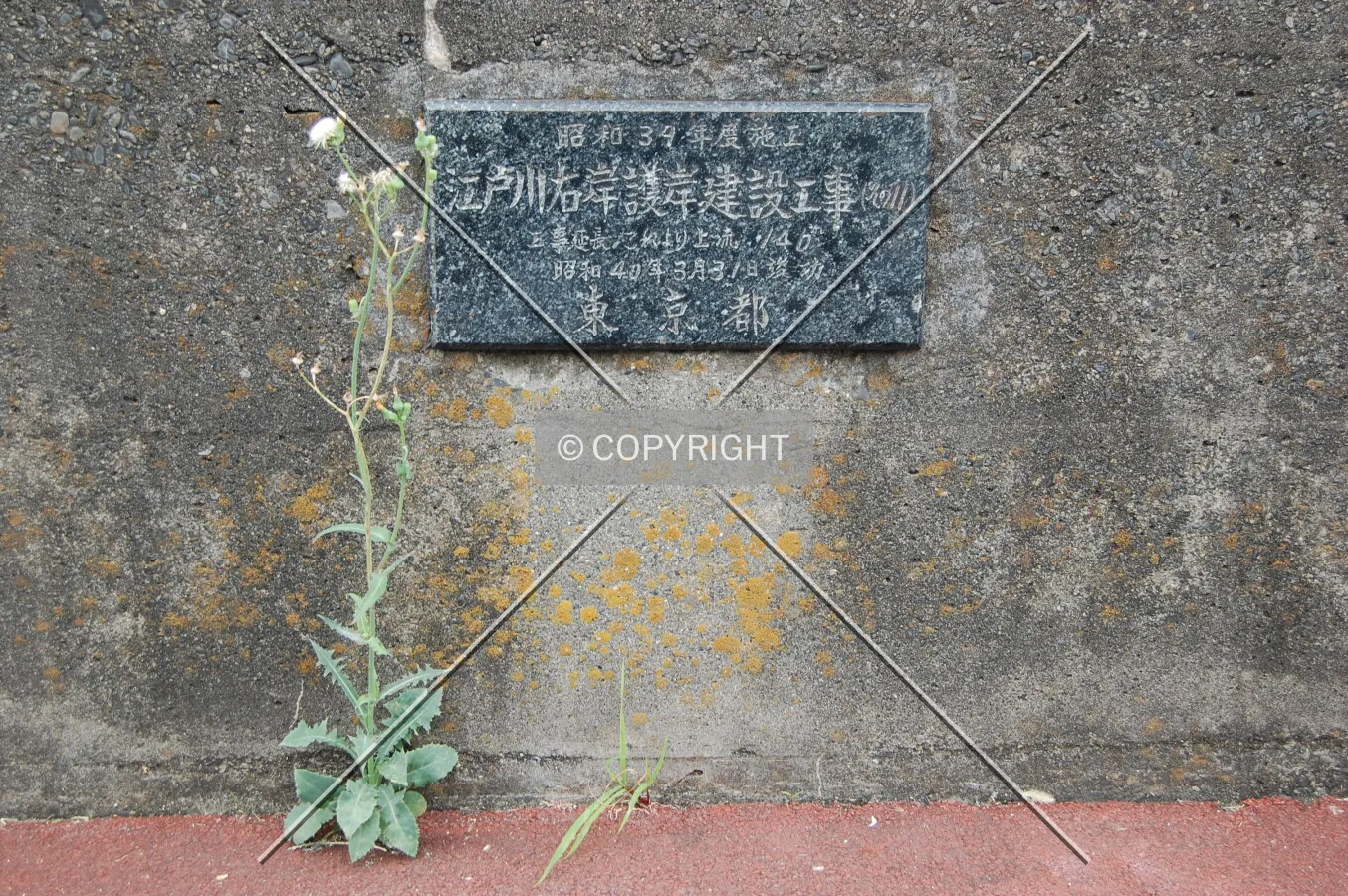 Photo 126-261-748