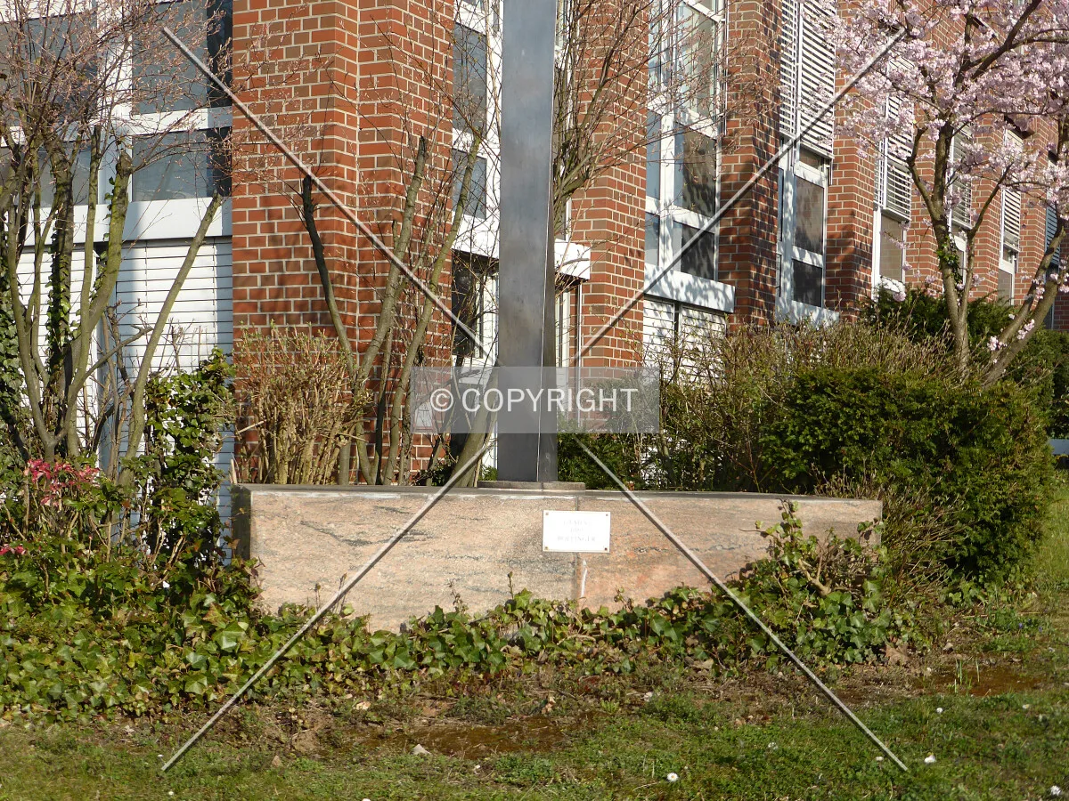 Photo 126-340-737
