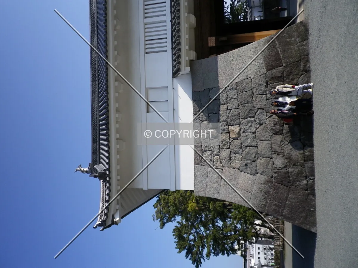 Photo 126-448-444