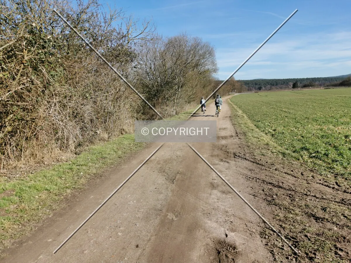 Photo 126-530-111