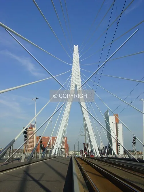 On the Erasmusbridge