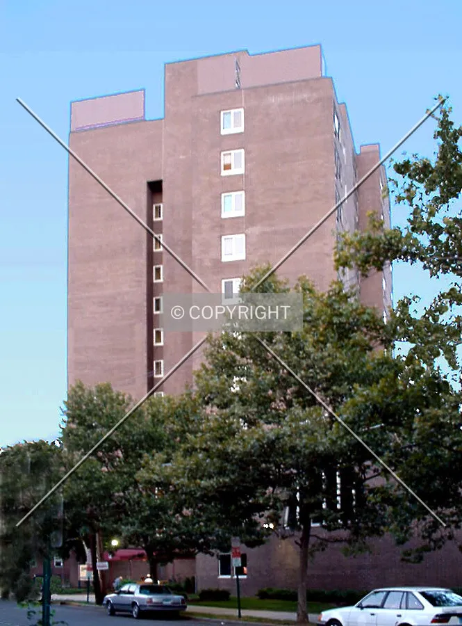 View from the west