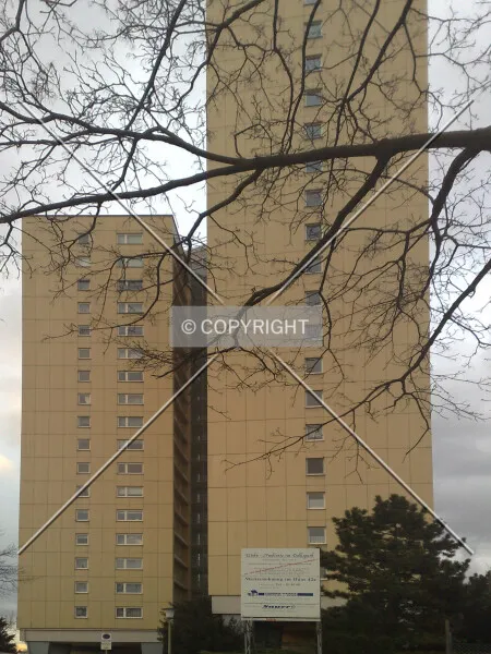 Photo 126-748-252
