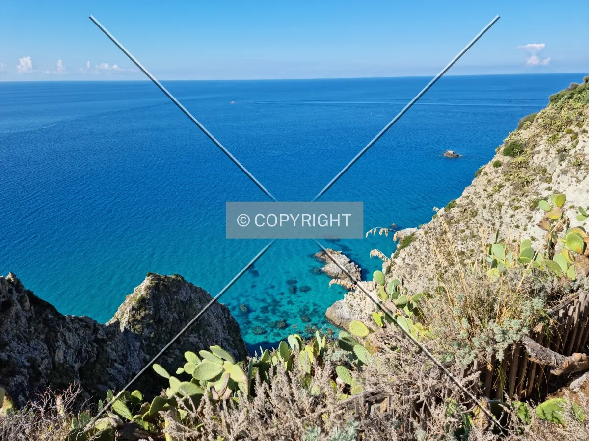 Photo 126-811-382