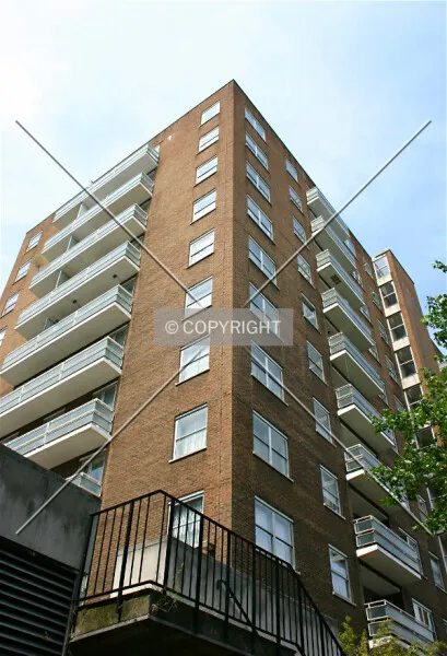 Photo 126-904-526