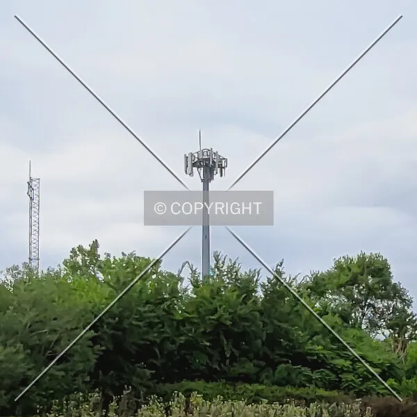 Photo 127-051-929