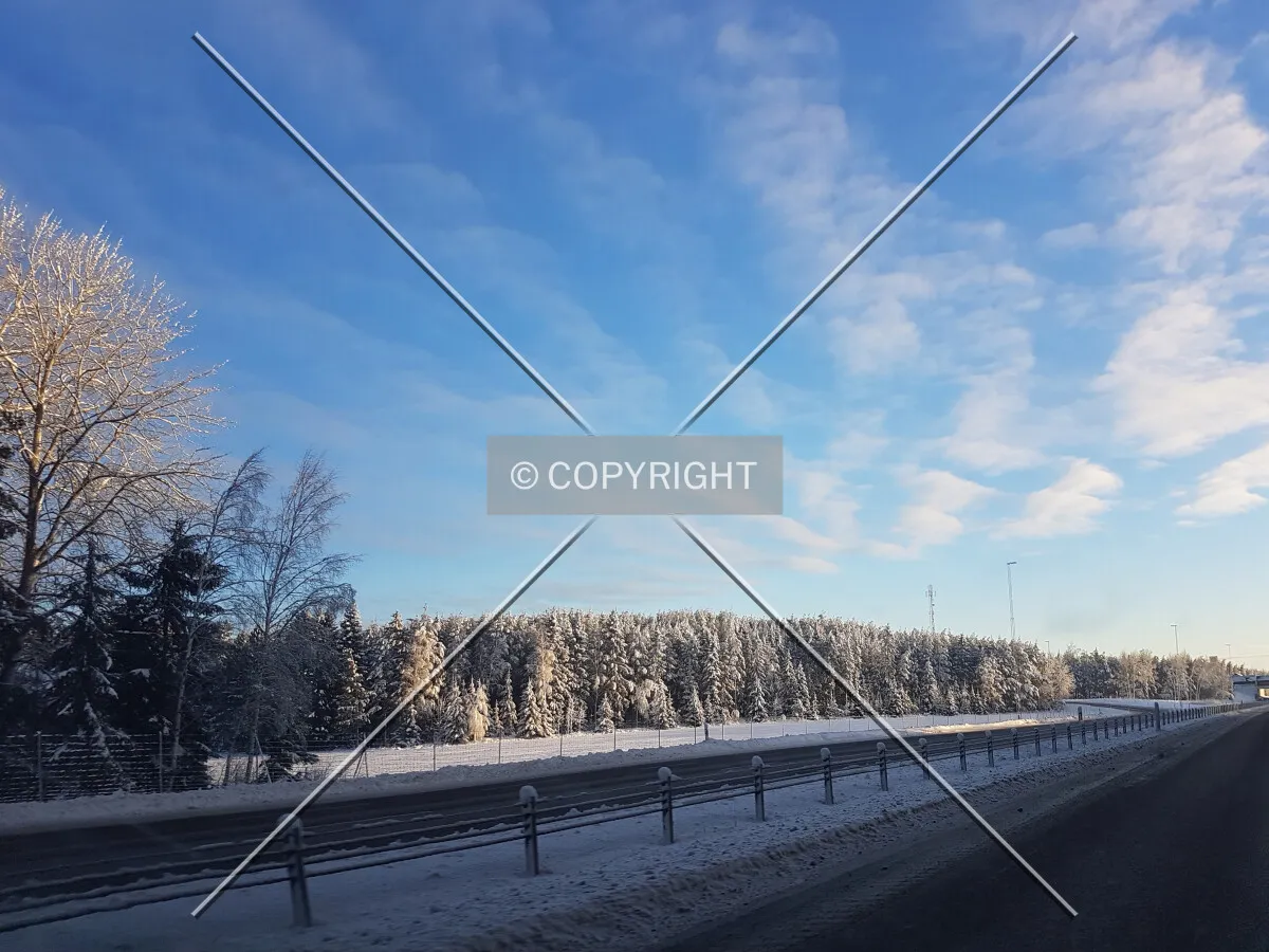Photo 127-245-632