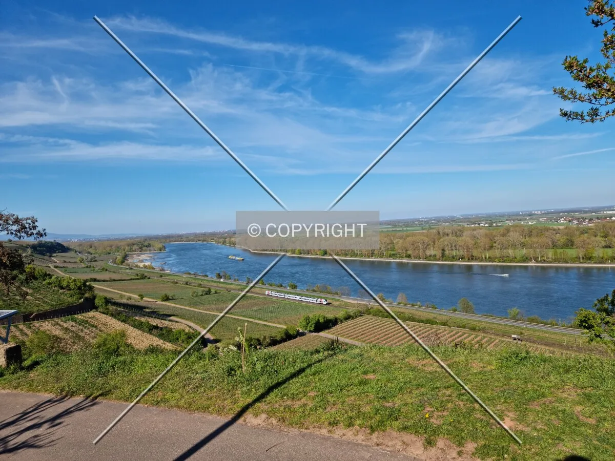 Photo 127-305-943
