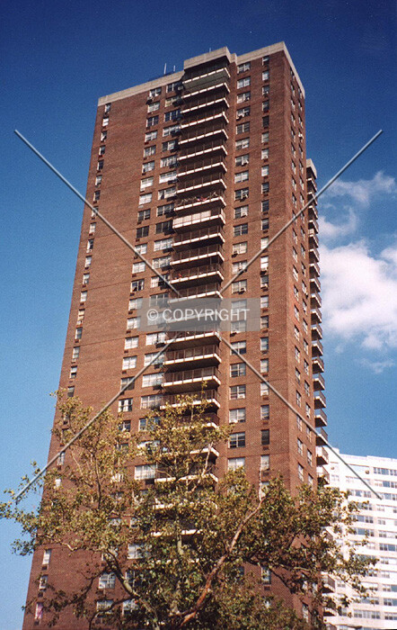 View from the west
