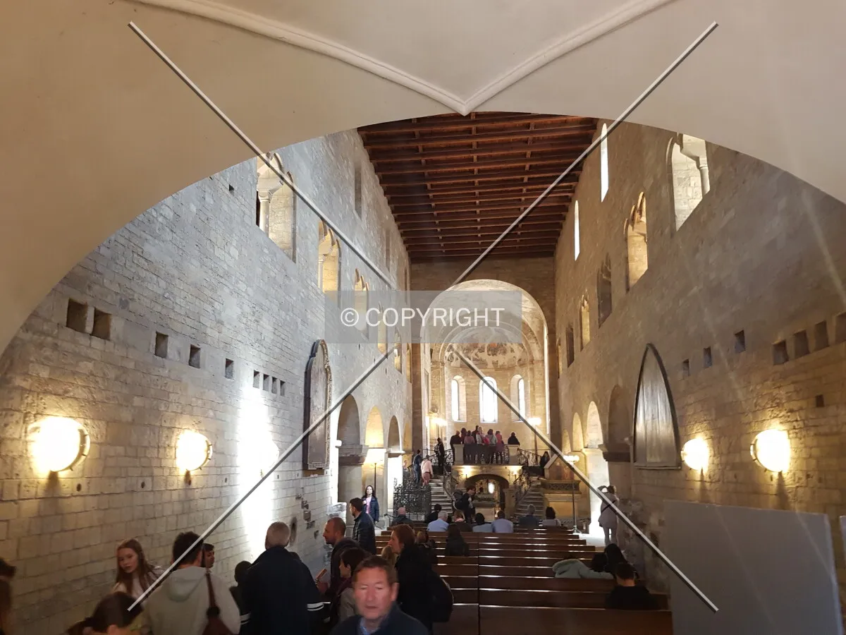 Photo 012-764-893