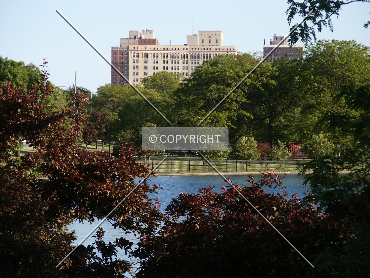 North side over the treetops from almost four blocks away