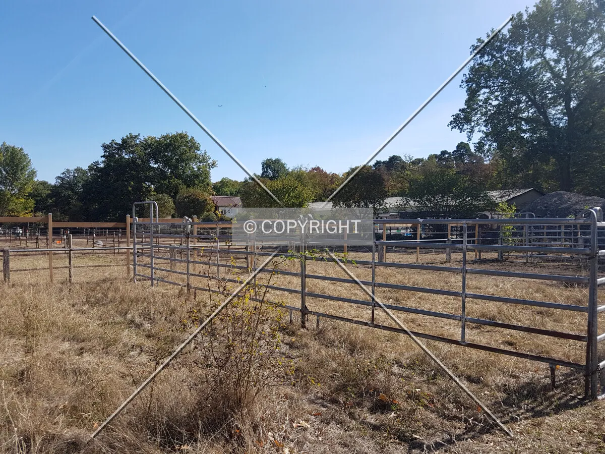 Paddocks for horses
