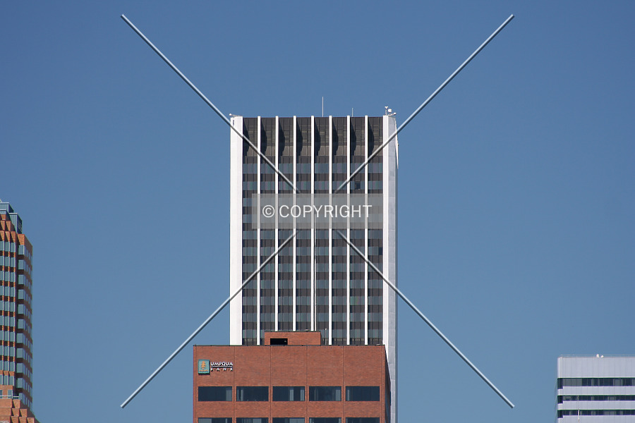 Photo 128-210-990