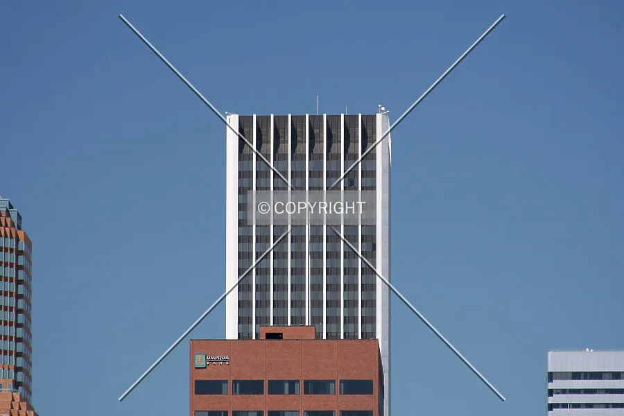 Photo 128-210-990