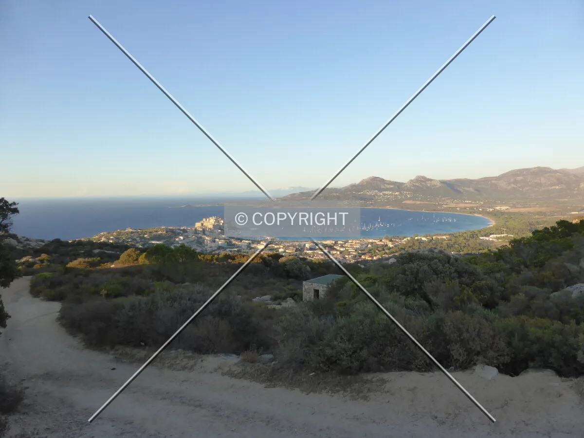 Photo 012-859-037