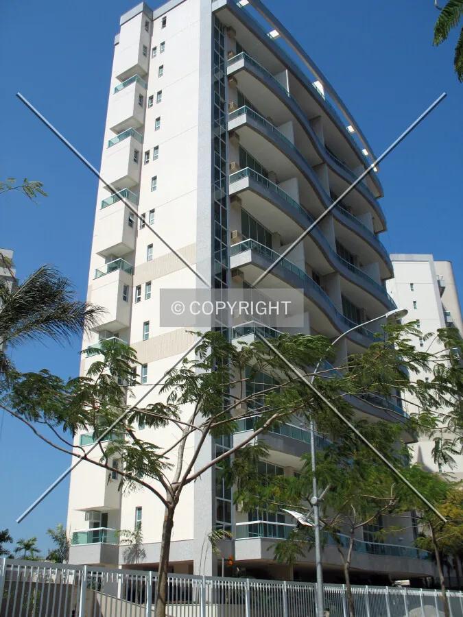 Looking up from Avenida dos Flamboyants