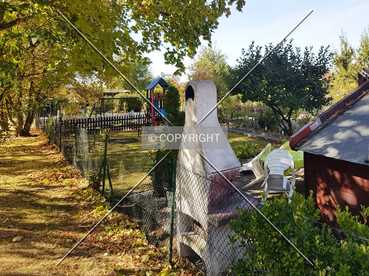 Photo 128-753-382