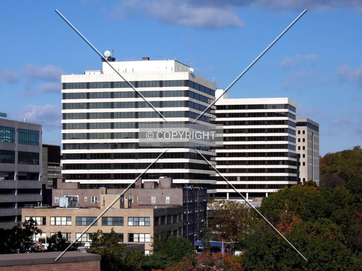 View from the southeast