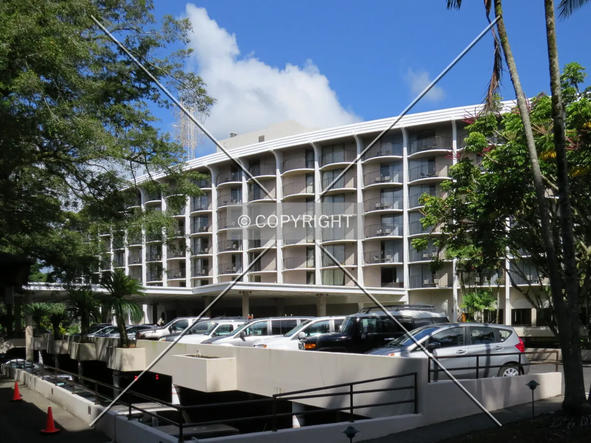 View to the west from Banyan Drive