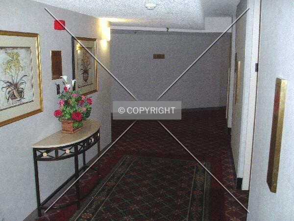 Photo 129-091-487