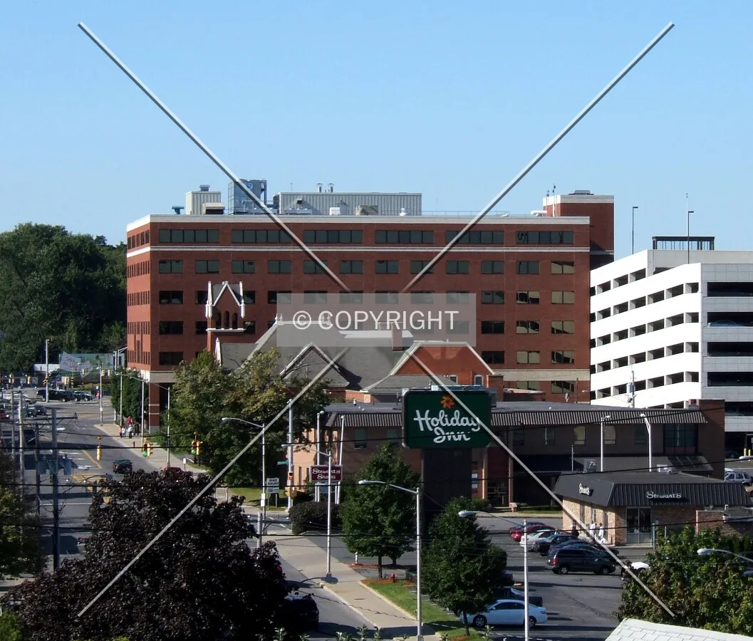 View from the northeast along Nott Terrace