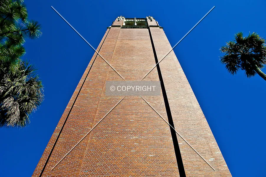 Photo 129-369-398